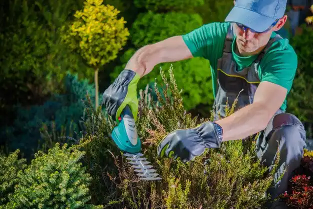 landscaping services Lattingtown